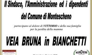 9135393D 5663 4942 8222 F58456BB2480