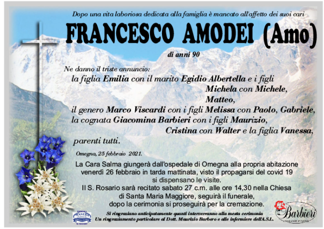 ANN Francesco Amodei 2