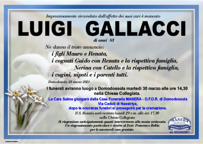 ANN Luigi Gallacci