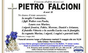ANN Pietro Falcioni