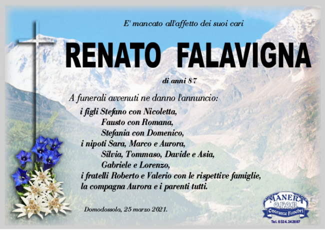 ANN Renato Falavigna