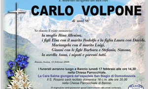 Ann Volpone Carlo