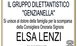 CORPO VOL AMBULANZA VARZO Copia