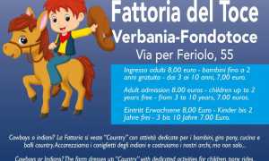 Fattoria del Toce Country days