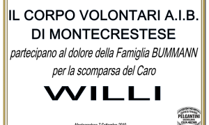 PARTECIPAZIONE aib montecrestese bumann