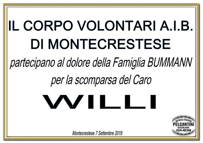 PARTECIPAZIONE aib montecrestese bumann