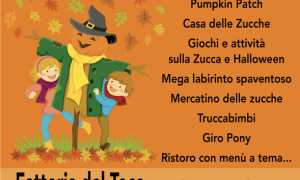 Screenshot 2024 10 09 alle 11.33.31