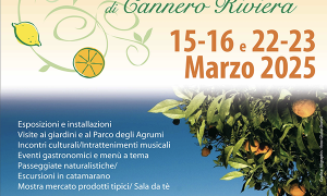 Screenshot 2025 01 22 alle 09.31.01