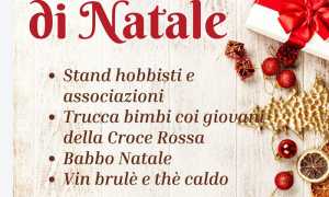 WhatsApp Image 2025 11 15 at 15.47.52 6