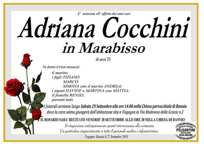 adriana cocchini