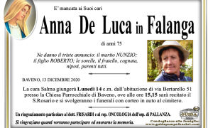 anna luca falanga