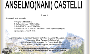 anselmone nani castelli