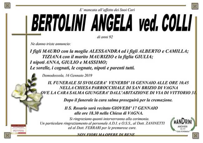 bertolini angela