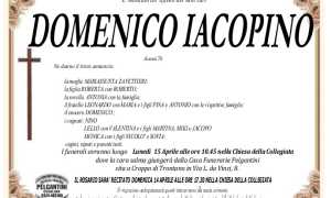 domenic iacopino