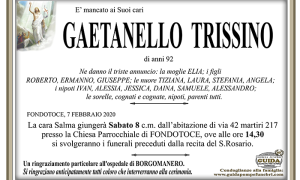 gaetano trissino