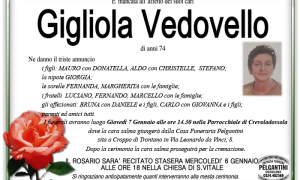gigliola VEDOVELLO