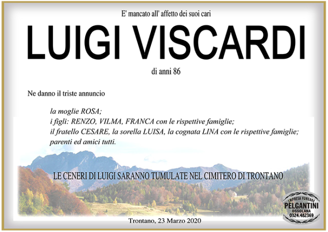 luigi VISCARDI1