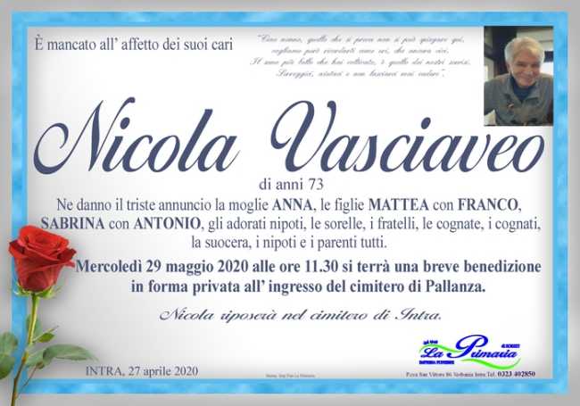 nicola vasciaveo