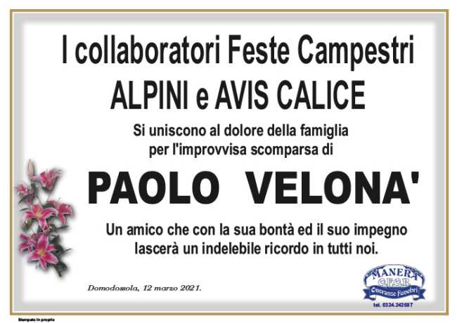 partecipazione FESTE CAMPESTRI ALPINI AVIS