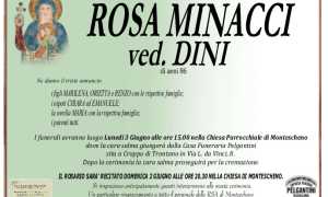 rosa minacci