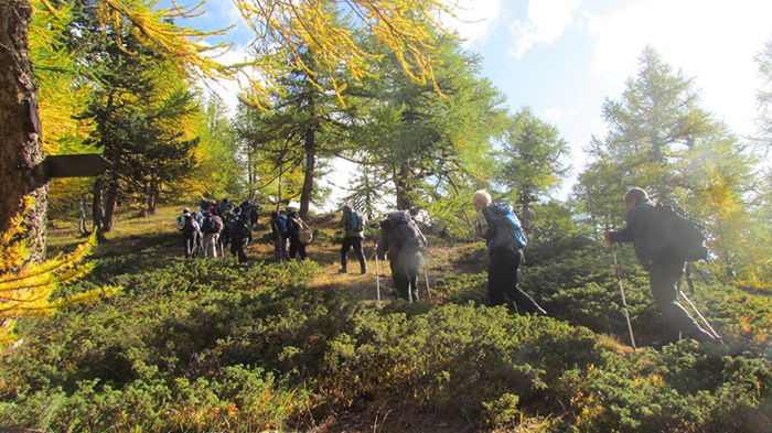 trotapian 33 Gita 4O24 Malchkritzji