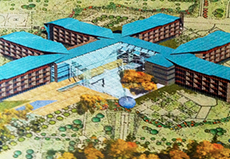 corta ospedale unico piedimulera