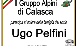 ALPINI CALASCAPeflfini