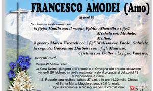 ANN Francesco Amodei 2