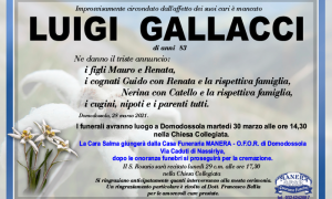 ANN Luigi Gallacci