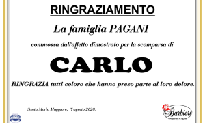 ANN RING Carlo