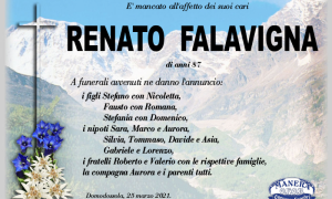 ANN Renato Falavigna