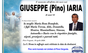 Ann Iaria Giuseppe