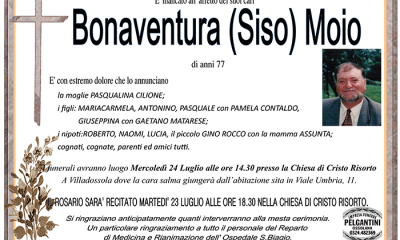 Bonaventura siso MOIO