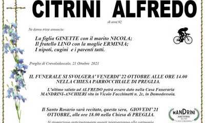Citrini Alfredo