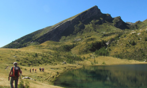 Schermata 2020 07 27 alle 08.34.06