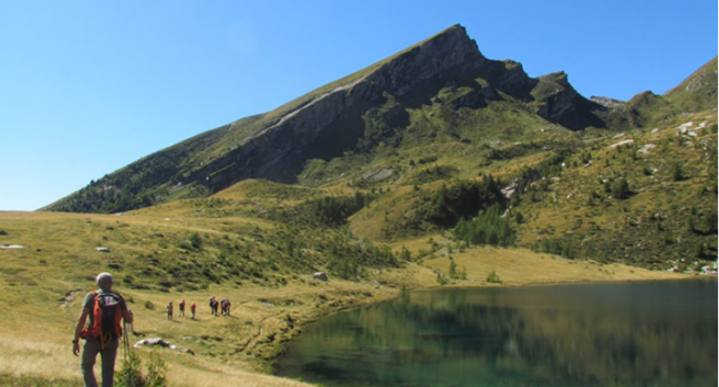 Schermata 2020 07 27 alle 08.34.06