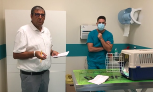 Schermata 2020 10 05 alle 17.17.48