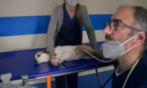 Schermata 2021 03 07 alle 10.58.25