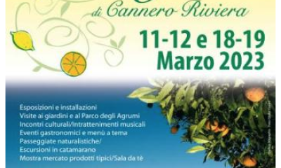 Schermata 2023 03 04 alle 10.09.57