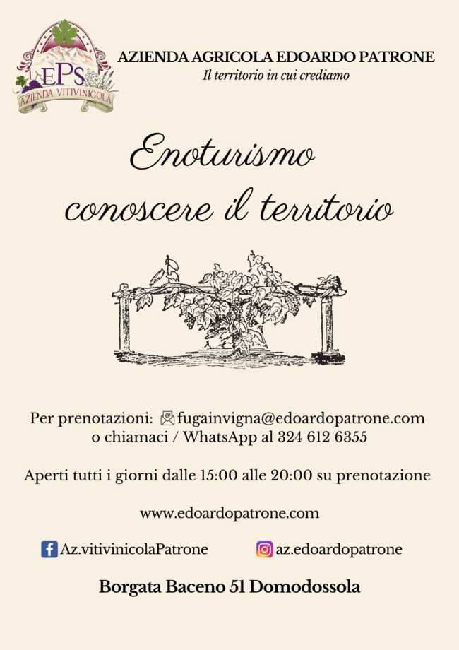 WhatsApp Image 2020 06 02 at 21.37.59 1