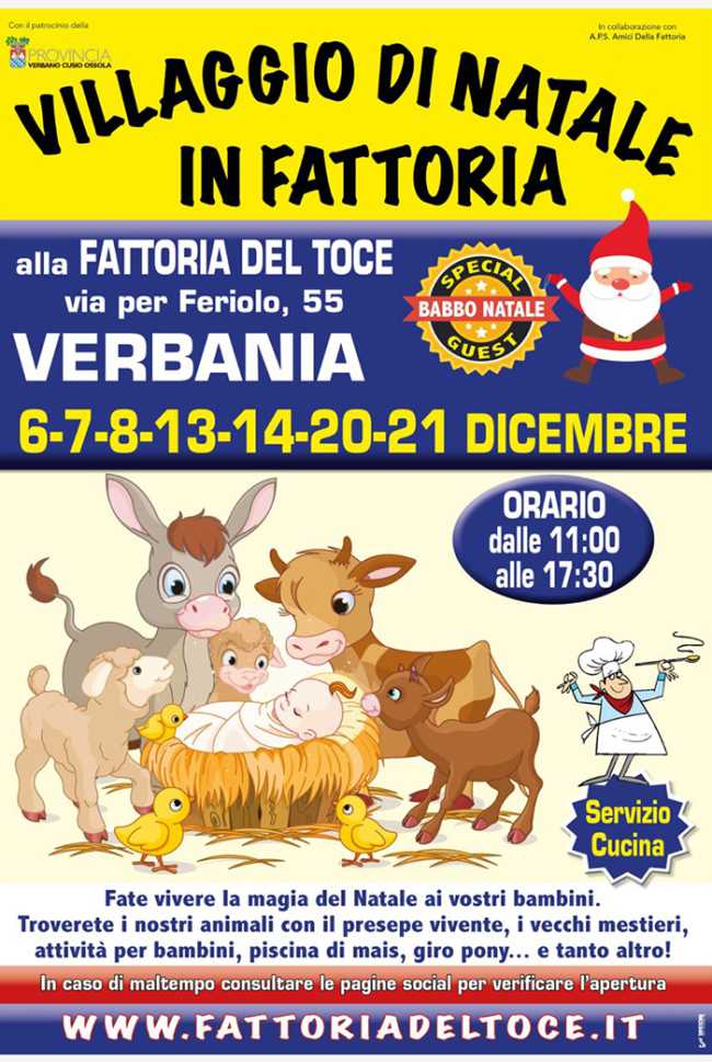 WhatsApp Image 2025 11 15 at 15.47.52 4