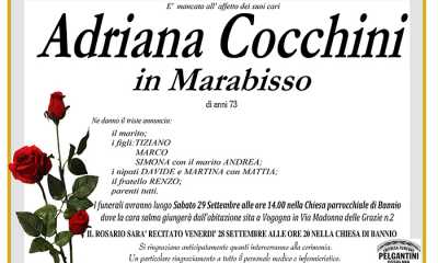 adriana cocchini