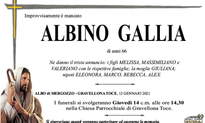 albino GALLIA