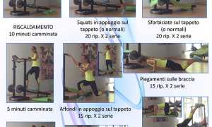allenamento cirucito tappeto