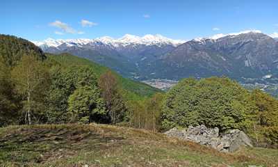 alpe roi fabbri