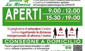 banner quadrato mimosa aperti covid