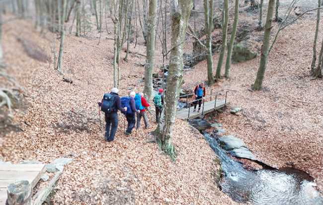 calpera fabbri bosco ponte autunno sentiero