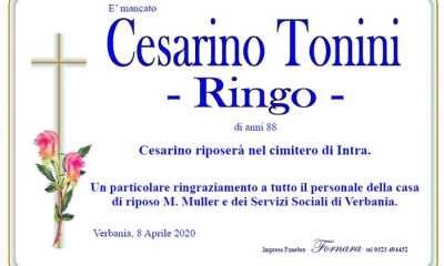cesarino tonini ringo