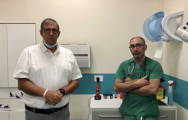 ciurleo cavalli puntata tre