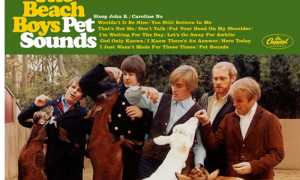 copertina disco beach boys